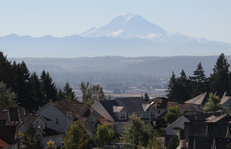 Mount Rainier